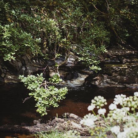 River Cottage, A Luxurious And Cosy Riverside Cottage For Two Welshpool Exteriér fotografie